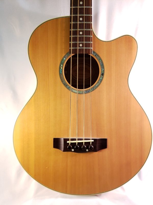 Gold Tone acoustic electric bass guitar ABG4