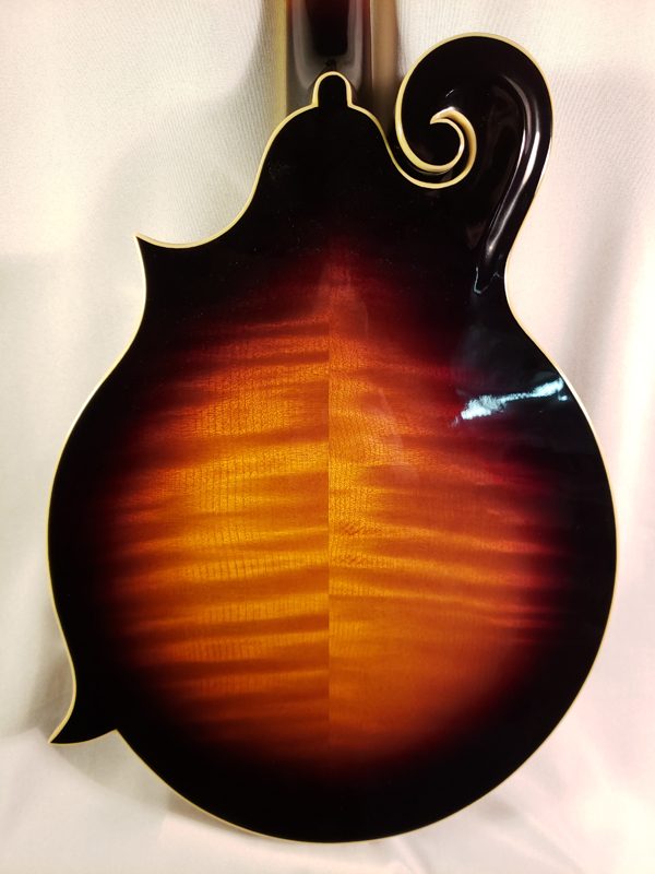 The Loar LM-520 EVS mandolin back