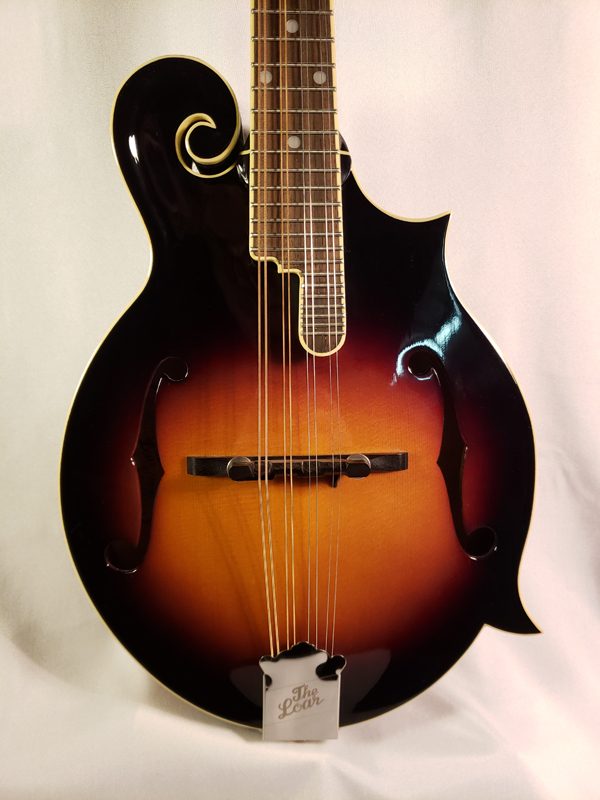 The Loar LM-520 EVS mandolin