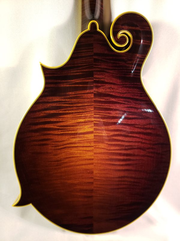 Collings MF5V deluxe mandolin back